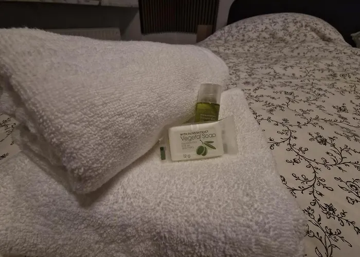 Historisches Haus Am Fusse Der Festung Ehrenbreitstein Am Schoenen Rhein * Koblenz